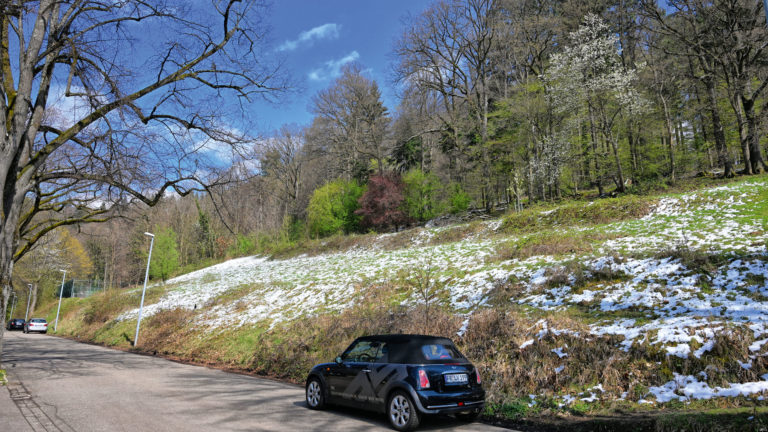 Im Wald der Eichhalde, oberhalb von Herdern, könnte ein Ruhewald für Bestattungen entstehen (Foto: Achim Keller)
